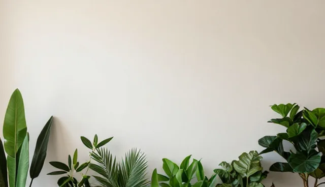 网站性能优化中的常见误区与正确理解